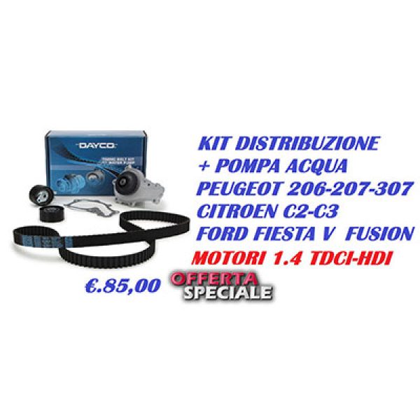 kit-catena-distribuzione-pompa-acqua-peogeut-citroen